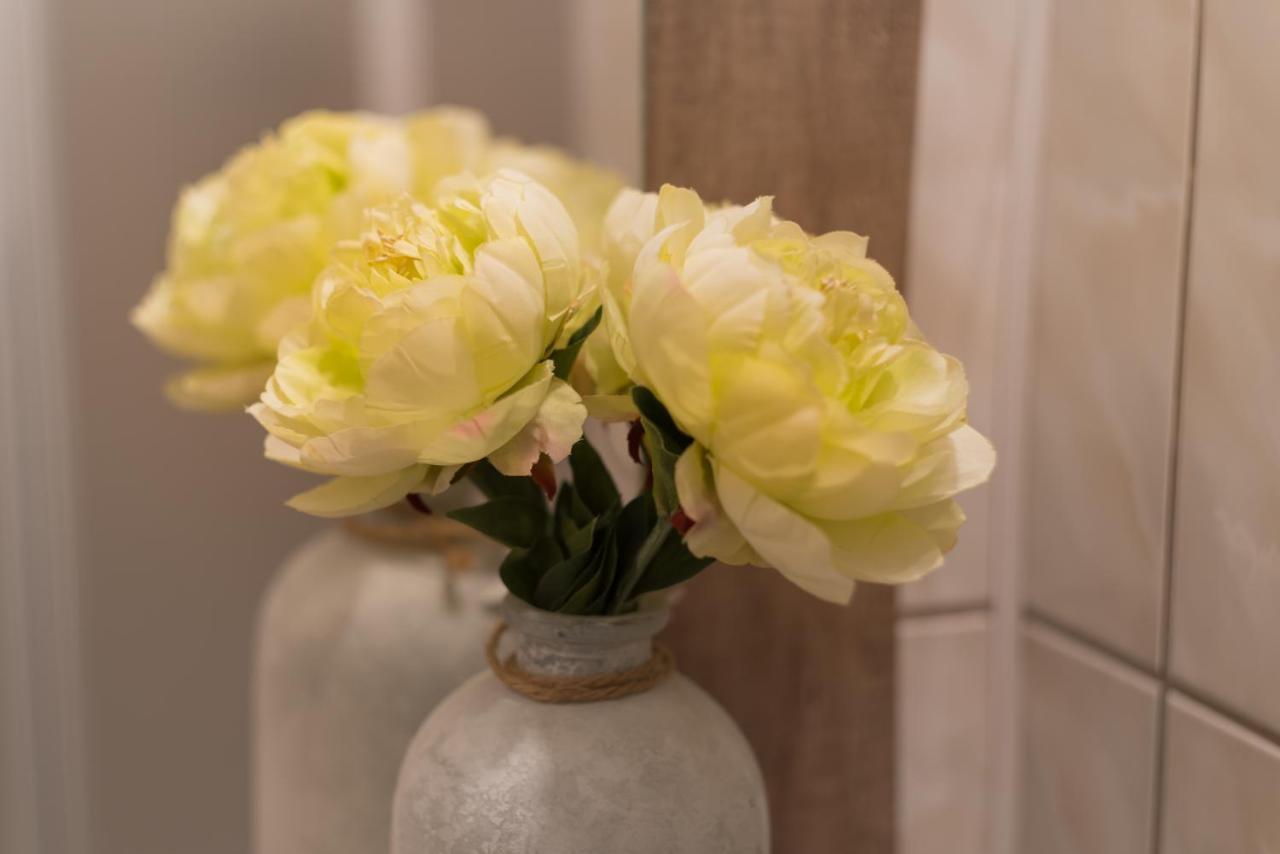 Apartmany U Sjezdovky Kvilda Dış mekan fotoğraf